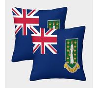 SHUAIOIN 3D Printed British Virgin Islands Square Pillowcases Dinosaurs Square Throw Pillow Decorative Super Soft Pack of 2 for Patio,Couch, Tent, Balcony And Sofa 45x45cm