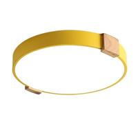 SHUANGZ 15.7 Inch Ceiling Light Fixtures, with Remote Control Modern Ultra Thin Low Profile Light Fixture Round Design LED Ceiling Lamp for Kitchen, Bathroom, Bedroom, Hallway -