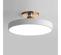 SHUANGZ LED Ceiling Lamp Nordic Round Ceiling Light Close To Ceiling Light Fixtures 3 Shades Of Light Energy Saving Easy To Install Lighting Fixture Corridor Decorative Lighting For Hallway, Bedroom,