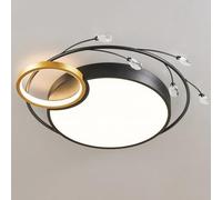SHUANGZ Modern LED Ceiling Light Dimmable Light Fixture Flush Mount 36W Close to Ceiling Lamp Matte Metal Finish Ceiling Lighting Fixtures for Bedrooms, Hallways, and Laundry Rooms