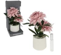 Shudehill Giftware Aromatherapy Potted Flower Diffuser, Dahlia Peach Room Scent Blooms with White Ceramic Pot
