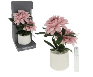 Shudehill Giftware Aromatherapy Potted Flower Diffuser, Dahlia Peach Room Scent Blooms with White Ceramic Pot