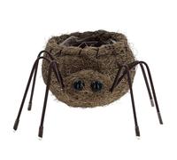 Shudehill Giftware Cute Coir Planters Wildlife Collection - Bees, Robins, Hedgehog, Chicken, Owl and More in Two Sizes (Spider, Large)