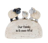 Shudehill Giftware Cute sheep resin figurines with different heartfelt messages on the stone effect base (Our family is B-ewe-tiful)