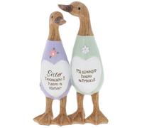 Shudehill Giftware Daisy Message Cute Resin Wooden look Duck Ornament - Mum, Nan, Friends, Family and More Sentimental Messages, Gift Ideas For Her (Sister)