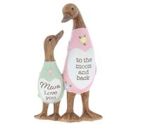 Shudehill Giftware Daisy Message Cute Wooden Duck Ornament - Mum, Nan, Friends, Family and More Sentimental Messages, Gift Ideas For Her (Mum)