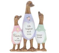 Shudehill Giftware Daisy Message Cute Wooden Duck Ornament - Mum, Nan, Friends, Family and More Sentimental Messages, Gift Ideas For Her (Family)