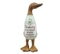 Shudehill Giftware Daisy Message Wooden Duck Ornament Gift - Family, Friends, Auntie, Daughter, Sister, Grandma, Nan or Mum Messages (Family)
