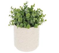 Shudehill Giftware Deco Glaze Planter, Daisy