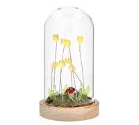 Shudehill Giftware Flower Dell Meadow LED Long Dome Decoraive Mood Light - Pink, Lilac or Yellow Tulips with Wooden Base (Yellow)