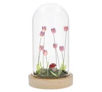 Shudehill Giftware Flower Dell Meadow LED Long Dome Decorative Mood Light with Wooden Base - Lilac Tulips