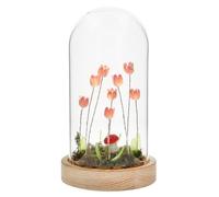 Shudehill Giftware Flower Dell Meadow LED Long Dome Decorative Mood Light with Wooden Base - Pink Tulips