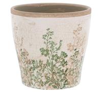 Shudehill Giftware Natural Garden Botanical Ceramic Planter, Decorative Plant Pot with Floral Design