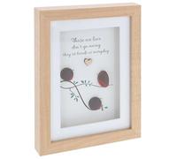 Shudehill Giftware Pebble Glass Portrait Plaque - Robin Love