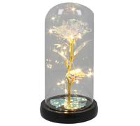 Shudehill Giftware Radiant Rose Flower LED Dome Decoraive Mood Light with Fairy Lights - Red, Pink, Purple, Irridescent with Black Base (Irridescent)