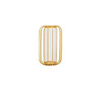 SHUILING Glass Vase Iron Art Nordic Small Flower Vase Metal Clear Bud Vases Cup Vase for Hydroponic Planter, Dried Flower Vase for Home Decor, Table Décor, Bedroom Living Room (gold-small)