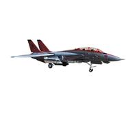 shuishuicui Plane Model 1:100 F-14 VF-101 Tomcat Carrier-Based Fighter Alloy 8-Inch Decorative Collectible For Men