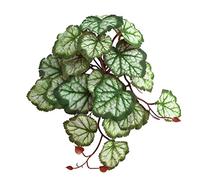 SHUIXIN Reptile Decor - Reptile Plants Tropical Realistic Leaves Terrarium Tank Plant for Bearded Dragons Tortoises Tree Frogs Multiple Options