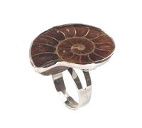 SHUIXIN Spiral-Natural Ammonite Shell Ring-Fossil Finger Ring-Pendant Ring Beach Joint Ring for Women Jewelry Gift Valentine's Day Fossil-Ring Women