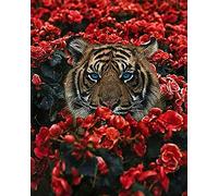 Shukqueen Adults Paint By Numbers Tiger, DIY Oil Painting Kit for Children, Beginner, Home Decoration, 16X20 Inch, Frameless