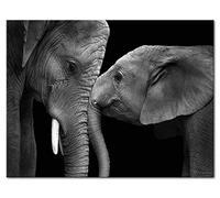 Shukqueen DIY Paint by Numbers for Adults DIY Oil Painting Kit for Kids Beginner - Two Elephants 24x30 Inch (Without Frame)