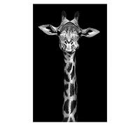 Shukqueen Paint by Numbers Adults, DIY Oil Painting Kit for Beginner, Home Decoration, Black and White Giraffe, 16X20 Inch, Frameless
