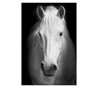Shukqueen Painting by Number, DIY Painting Kit for Kids, Beginner, Adults, Home Decoration, Black and White Horse, 24x30 Inch, Frameless