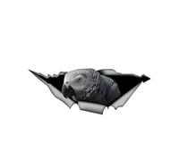 SHUNHUA Personalised Stickers African Grey Parrot Funny Car Sticker Metal Aluminum Composite Sign KK Vinyl Car Styling Cute Pet Bird Decal 13cm X 5cm