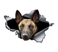 SHUNHUA Personalised Stickers Exterior Accessories 13X8.8CM Car Sticker Belgium Malinois Decal Torn Metal Waterproof Sticker Shepherd Pet Dog 3D