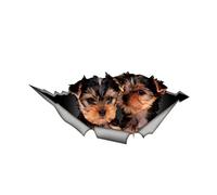 SHUNHUA Personalised Stickers Self adhesive 3D Decal Cool Yorkshire Terrier Car Sticker Waterproof Auto Decors on Bumper Rear Window Loptop