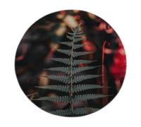 SHUODAOCO Botanical Style Circular Carpet 200cm - Bedroom Living Room Green Fern Leaf Pattern Round Rugs Washable Soft Non Slip For Entrance Foyer