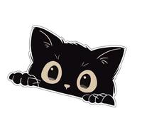 Shurhome Lovely Black Puss Plan Automobile Label Permanent Impermeable Substance Effective Scratch Obscurer Everyone Vehicle Varieties Black Puss Car Label Scratch Protect