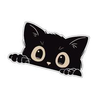 Shurhome Lovely Black Puss Plan Automobile Label Permanent Impermeable Substance Effective Scratch Obscurer Everyone Vehicle Varieties Black Puss Car Label Scratch Protect