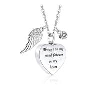 Shurhome Pet Necklace Its Urn to Carry Loved Ashes Always Urn Necklace