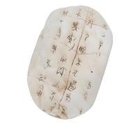 Shurhome Resin Turtle Shell Wall Art with Ancient Chinese Oracle Bone Script Design for Home Decor Living Room Wall Hangings