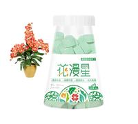 Shurzzesj Bonsai Fertilizer Pellets,80g Soil Plant Flower Fertilizer | Slow-Release Tablet, Concentrated All-Purpose Fertilizer for Healthier Roots, Home Gardening