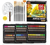 Shuttle Art 82 Pack Acrylic Paints Set, 66 Colours (22ml/0.74oz Each) Acrylic Paint with 10 Brushes,Canvas, Knife, Palette, Art Set for Adults,Beginners, Painting Set on Canvas, Wood Ceramic