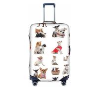 SHuWeiD Cute Chihuahua Pug Pattern print Luggage Cover Protector Suitcase Cover Polyester Washable Baggage Covers Travel Suitcase, White, Small, White, Small