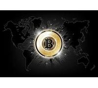 SHUYINGHENGXIE Gold Bitcoin Canvas Painting Wall Art Pictures Prints Poster Decor Modern Bedroom Living Room Home Decoration No Frame-B_40x50cm