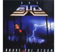 Shy - Brave the Storm