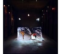 SHY GIRLS - Salt [VINYL]