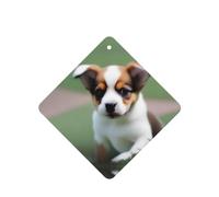 Shy Puppy Pattern Car Air Fresheners 6 Pcs Square Hanging Aromatherapy Tablets Scented Fresheners For Bedroom Bathroom