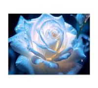 SHYAMIC Abstract Painting Modern Canvas Wall Art for Living room,Bedroom, Water Drop Blue Flowers Canvas Motivational Posters for Boy's Room Man Cave Home Decor - 60x90cm Unframed