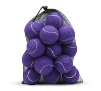 SHYUJAJIE Tennis Balls, 20 Pack Training Tennis Balls,High Elasticity Practice Tennis for Beginner, Exercise Playing Balls for Pet Dog (Purple)