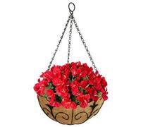 Siam Express 12" Deluxe Metal Hanging Basket