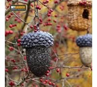 Siam Express Hanging Acorn Shaped Metal Bird Feeder Nuts & Seeds