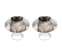 Siamese Cat Art Cabinet Knobs, 2-Pack Silver Stainless Steel Drawer Pulls with Screws, Elegant Hardware for Dressers, Kitchen,Cabinets & Desks