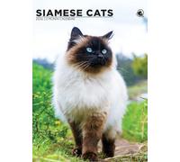 Siamese Cats 2026 Calendar, A3, Wirobound, Full Colour