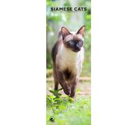 Siamese Cats 2026 Wall Calendar, 12-Month Slim Format, Made in England