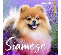 Siamese Cats 2027 Calendar - Feline Grace and Blue Eyed Breed Portraits